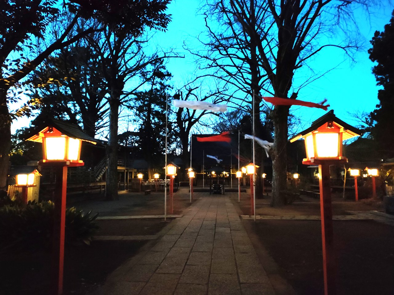 ２０２５．２．９　～2月　夕刻の情景～